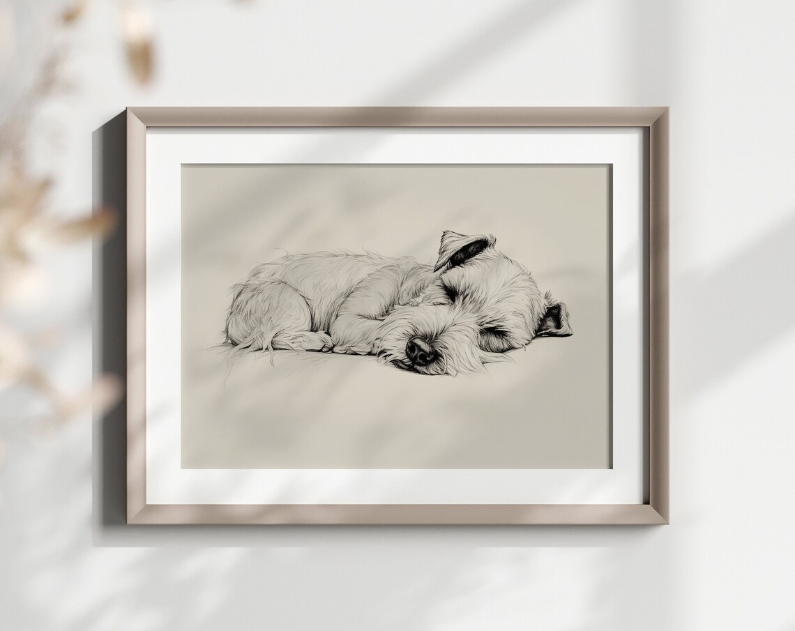 Miniature Schnauzer Sleeping Puppy Pencil Sketch Breed Gift Poster