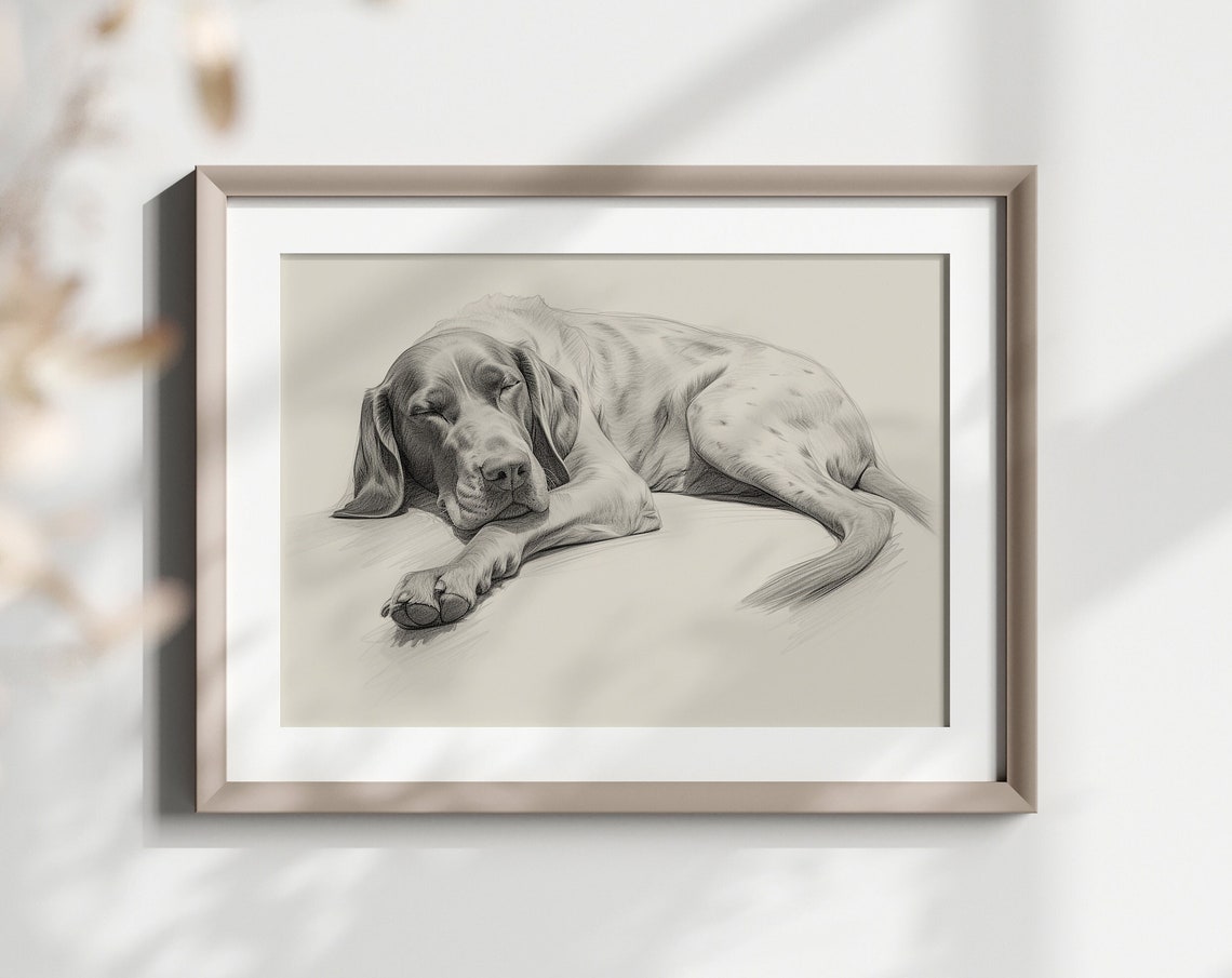 German Pointer Sleeping Peacefully Pencil Sketch Minimalist Art Print