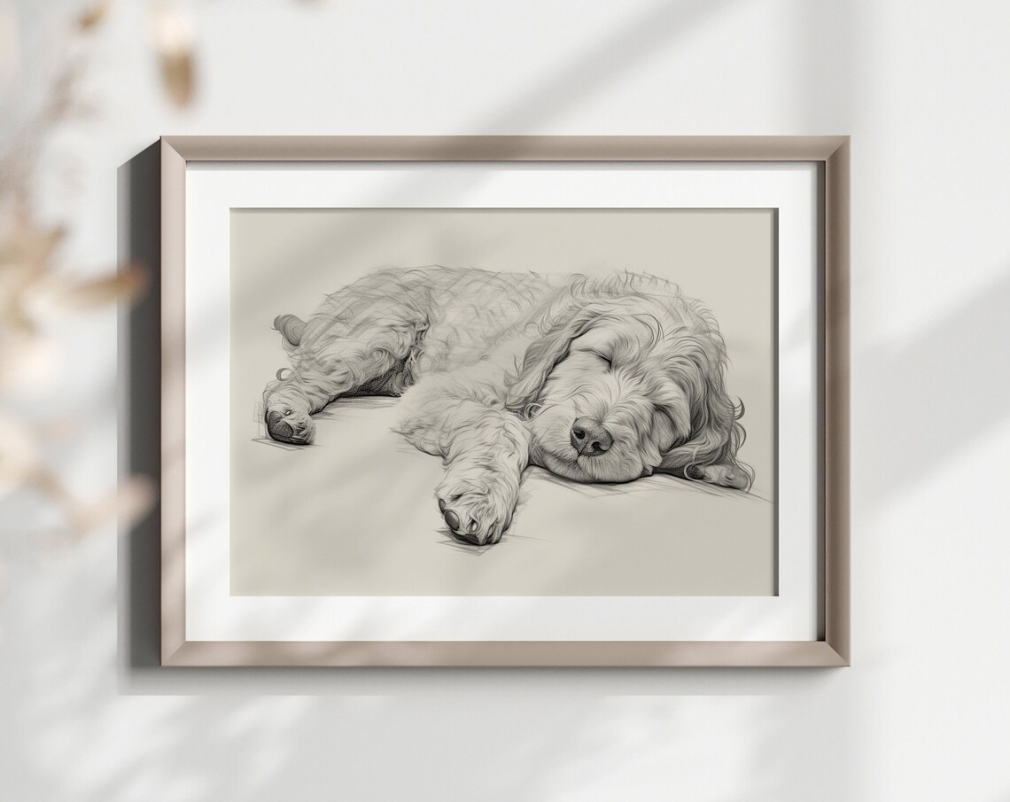Labradoodle Sleeping Fluffy Doodle Dog Pencil Sketch Breed Gift Poster