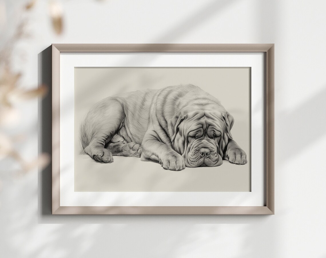 Neapolitan Mastiff Sleeping Wrinkled Dog Pencil Sketch Gift Poster