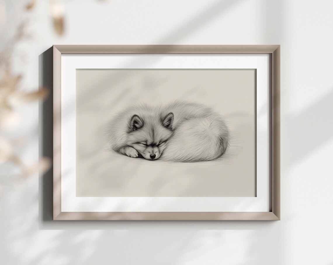 Pomeranian Sleeping Curled Up Fluffy Puppy Pencil Sketch Dog Poster