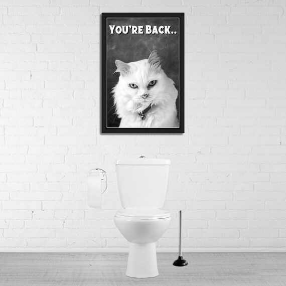 White Cat Black and White You Are Back Funny Bathroom Quote Poster