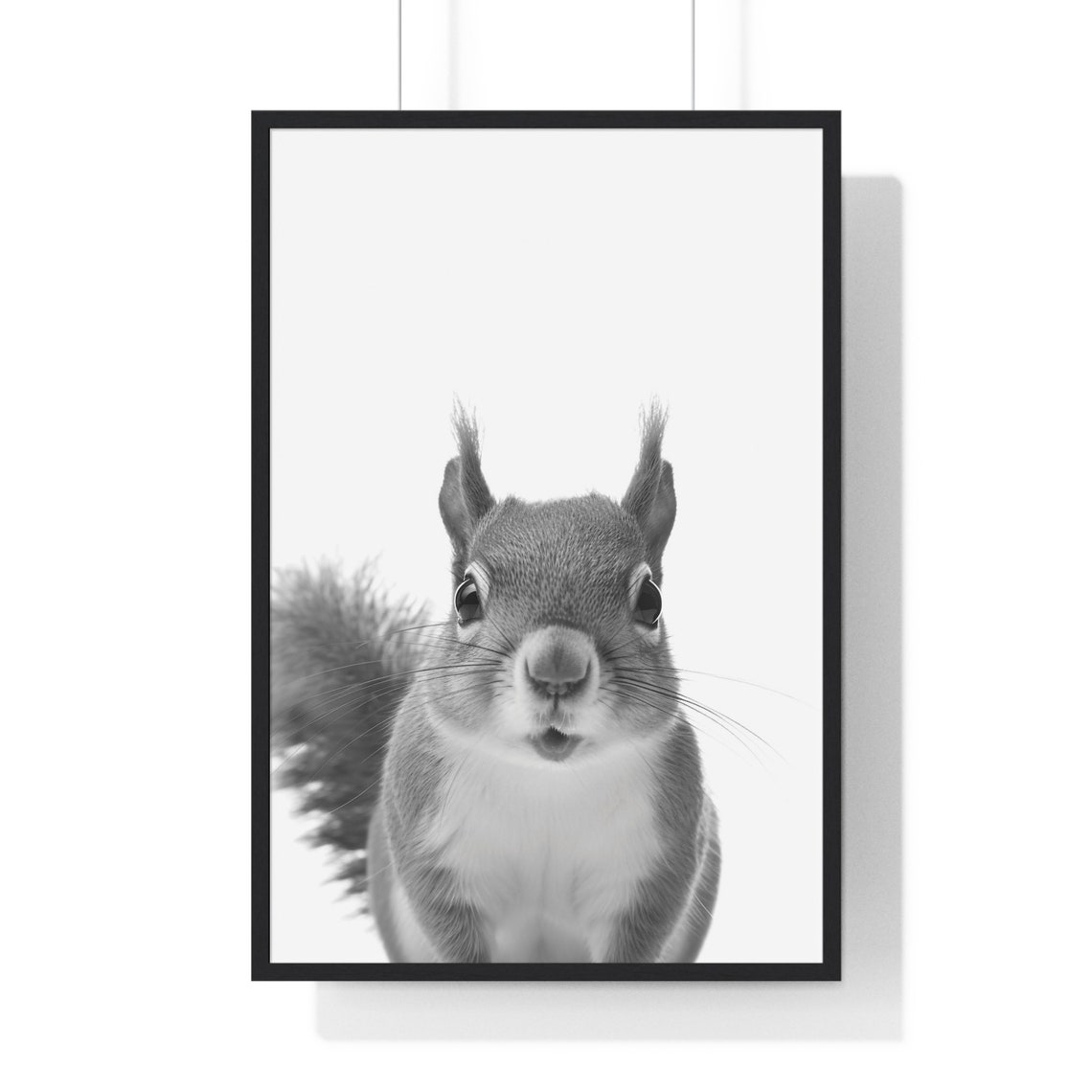 Baby Red Squirrel Portrait in Black and White Nursery Poster - Image 2