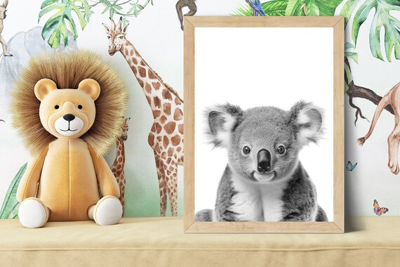 Adorable Baby Koala Portrait in Black and White Nursery Style Poster