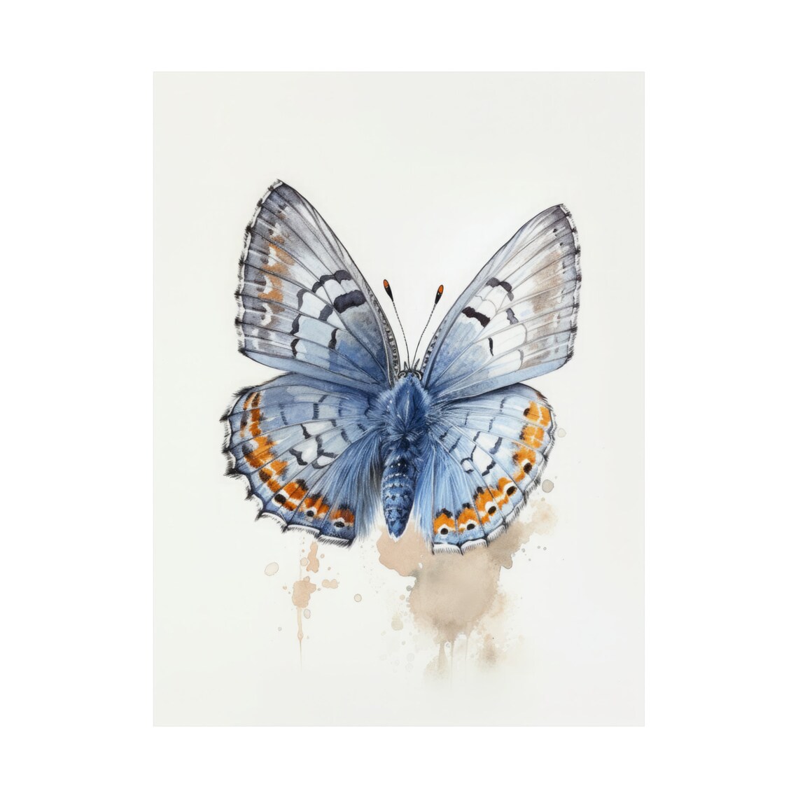 Western Pygmy Blue Butterfly Orange Border Wings Watercolor Poster - Image 4