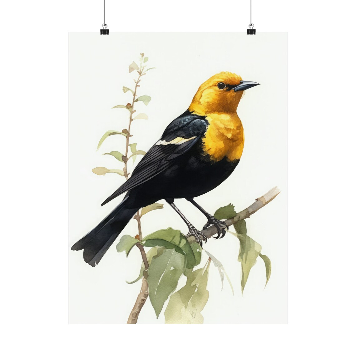 Yellow Headed Blackbird Perched Branch Watercolor Bird Art Print - Image 5