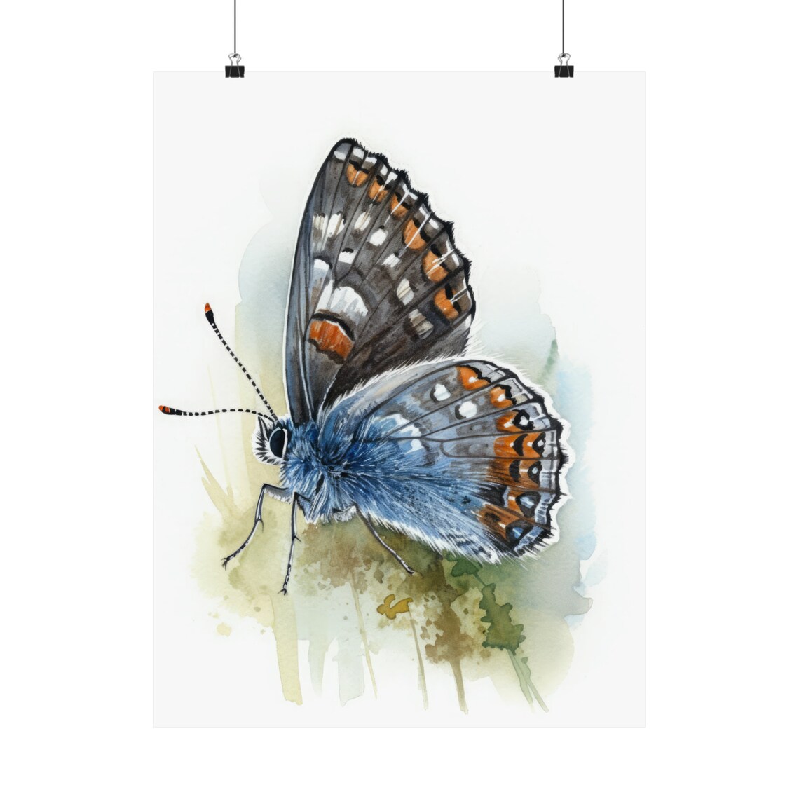 Western Pygmy Butterfly Watercolor Art Print - Image 5