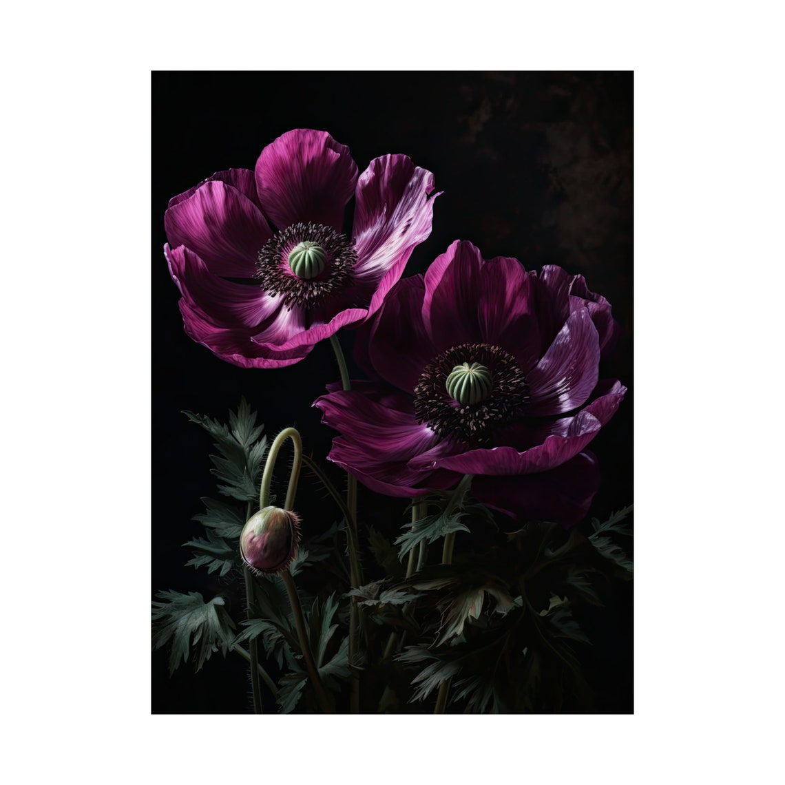 Magenta Anemone Flower Pair Dark Moody Botanical Floral Art Poster - Image 4