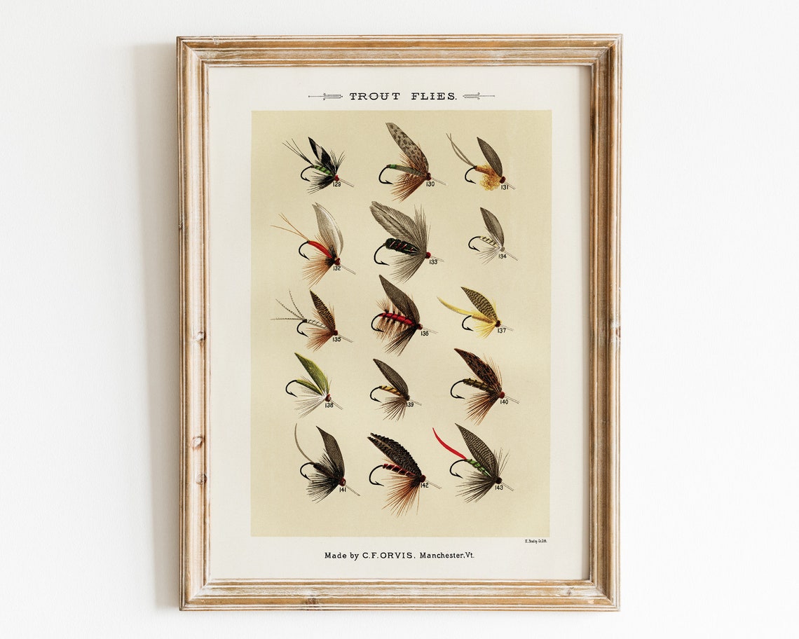Vintage Trout Flies Fishing Lure Chart Antique Cabin Wall Poster