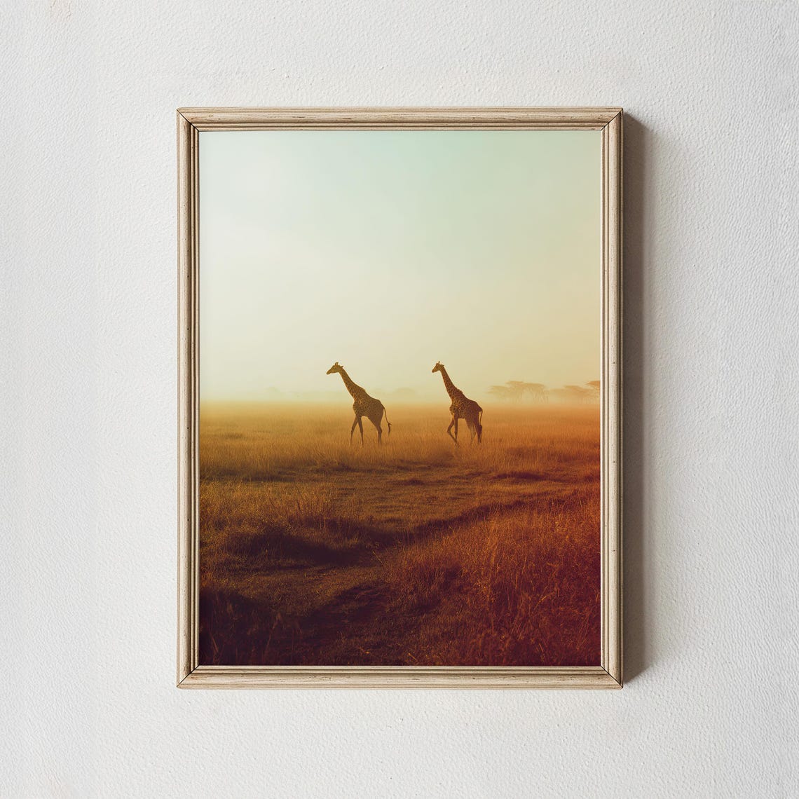 Golden Hour Giraffes Misty Savanna Wildlife Photography Wall Art