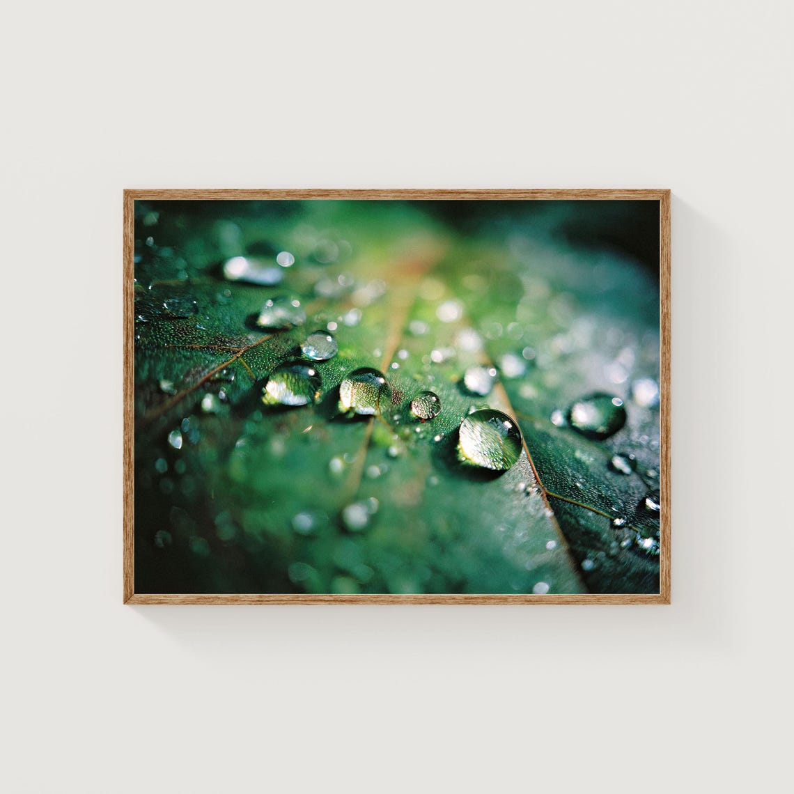 Macro Water Drops Green Leaf Photography Botanical Minimalist Poster
