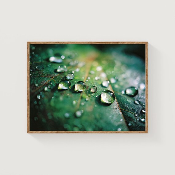 Macro Water Drops Green Leaf Photography Botanical Minimalist Poster