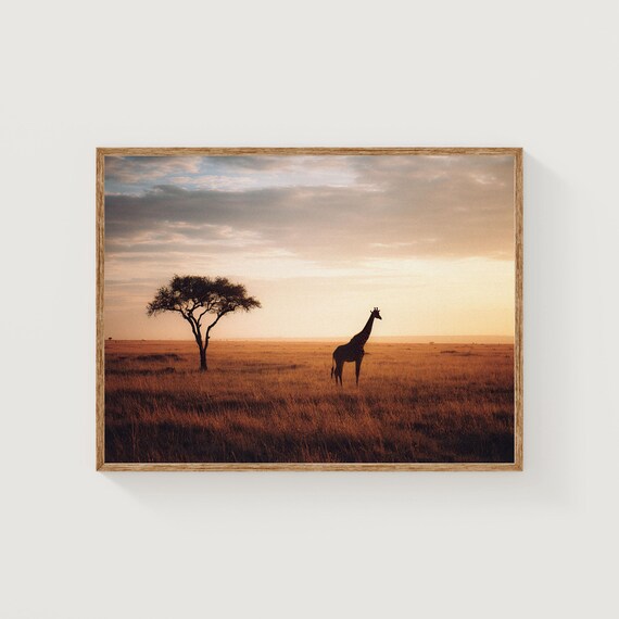 Masai Mara Giraffe Print African Savannah Sunrise Wall Art