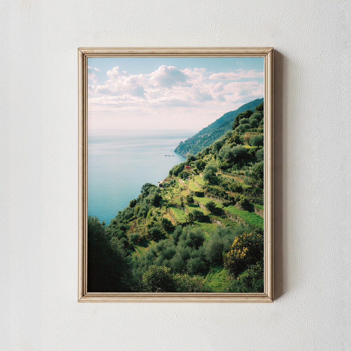 Green Terraced Hillside Coastal Sea Landscape Scenic Photo Poster