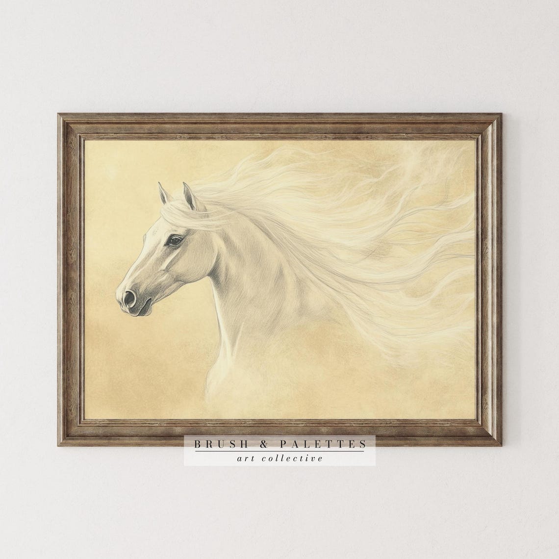 White Arabian Horse Pencil Sketch Elegant Equine Drawing Wall Art