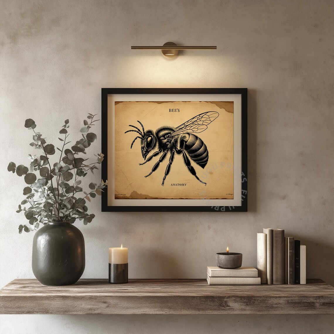 Bee Anatomy Vintage Insect Illustration Art Print - Image 4