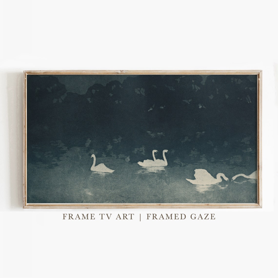 White Swans Dark Night Water Moonlit Lake Elegant Bird Art Poster