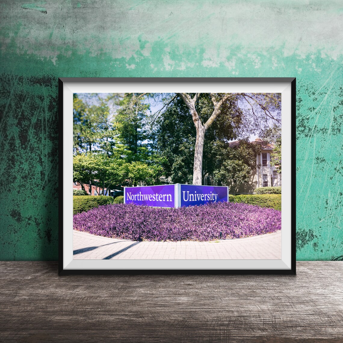 Northwestern University Purple Sign Evanston Campus Photography Poster