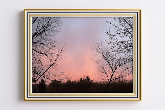 Iowa Sunrise 3 Pink Dawn Bare Tree Silhouettes Morning Poster