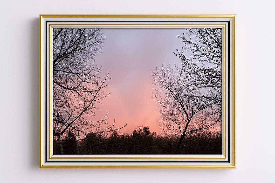 Iowa Sunrise 3 Pink Dawn Bare Tree Silhouettes Morning Poster