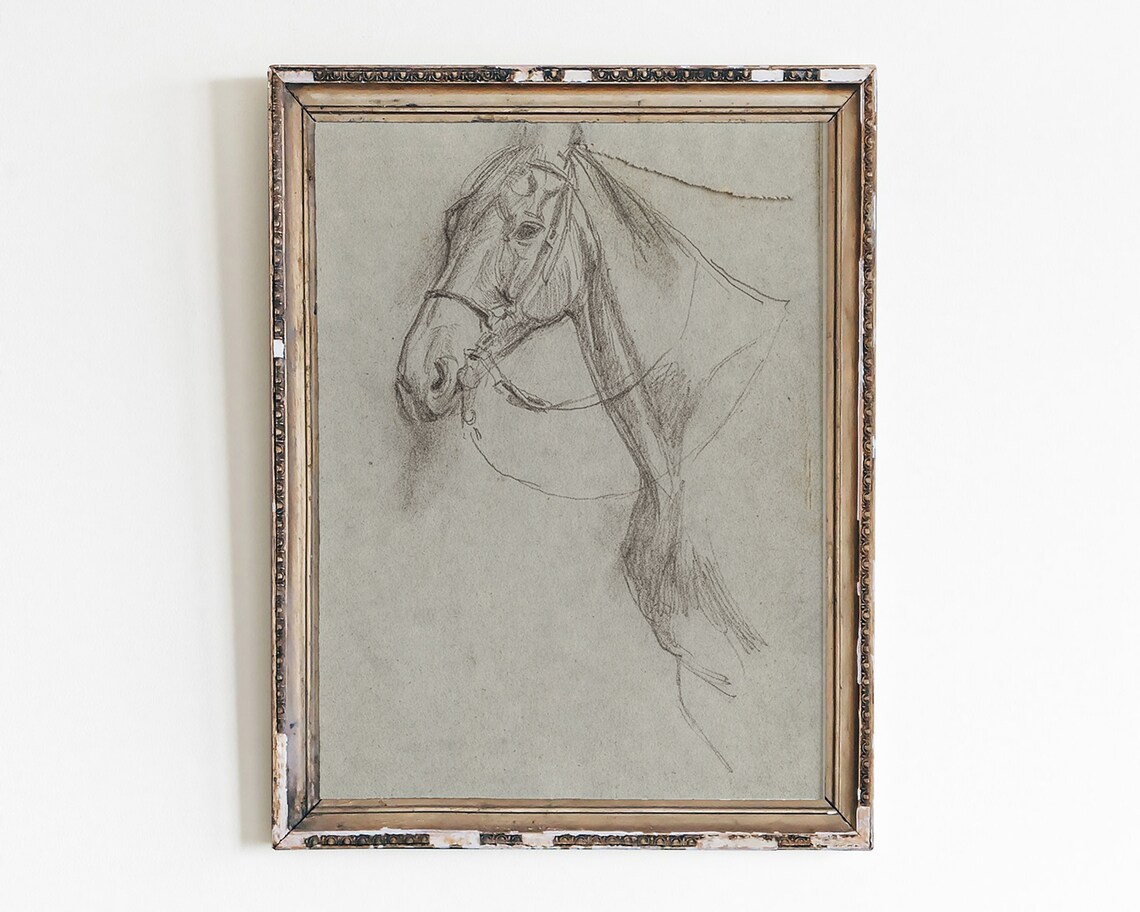 Vintage Charcoal Horse Head Sketch Antique Equine Study Art Poster