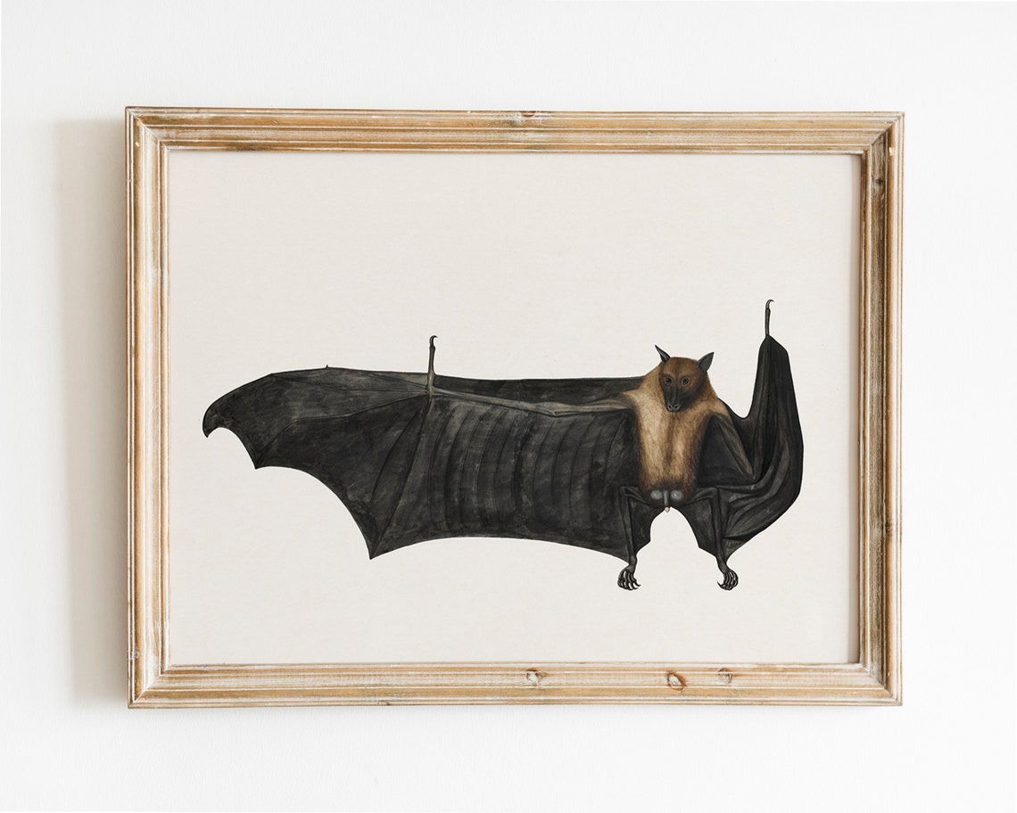 Vintage Bat Illustration Fruit Bat Dark Academia Spooky Print