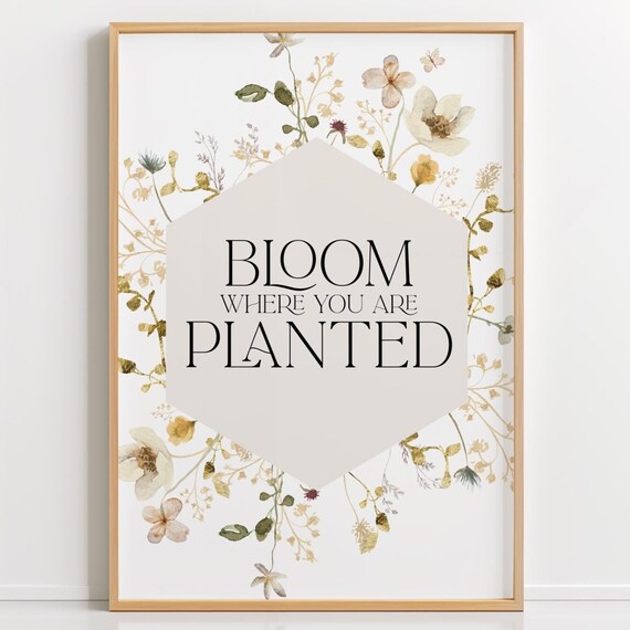 Bloom Where You Are Planted Floral Wildflower Quote Art Poster
