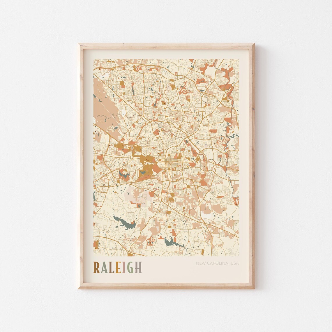 Raleigh North Carolina Vintage Boho Style City Street Map Poster