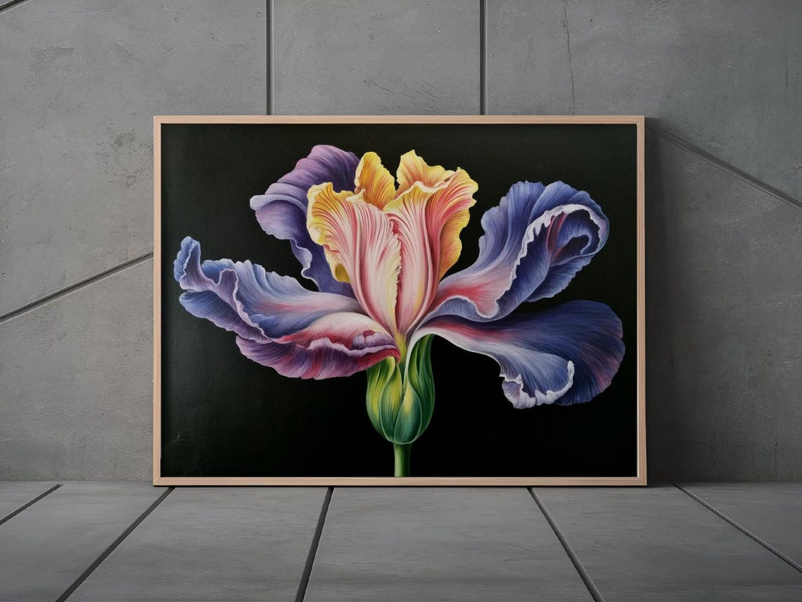 Iris Bloom Striated Ruffled Petals Purple Pink Yellow Wall Art