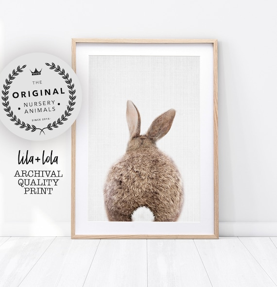Bunny Tail Art Print, Baby Nursery Animal Decor