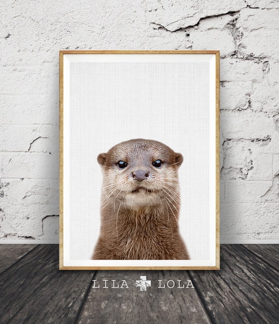 Otter Print, Minimalist Color Photo Poster