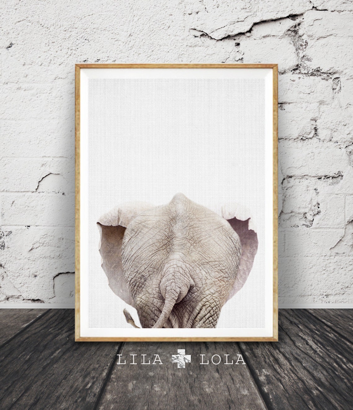 Funny Elephant Butt Breaking Through Paper Cute Animal Humor Poster