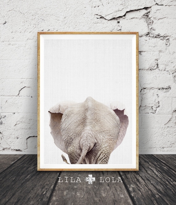Funny Elephant Butt Breaking Through Paper Cute Animal Humor Poster