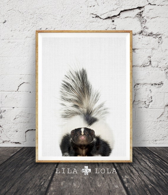 Skunk Nursery Print, Modern Animal Art Poster