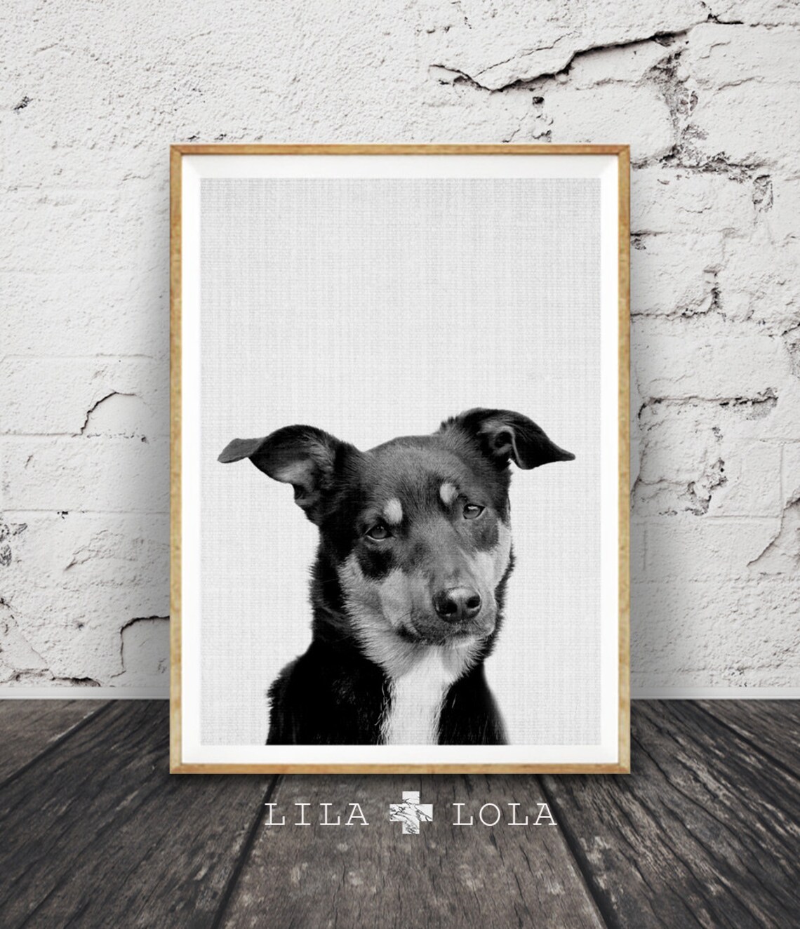 Kelpie Dog Print, Farmhouse Dog Wall Art