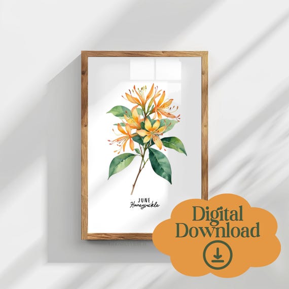 June Honeysuckle Botanical Watercolor Art Print