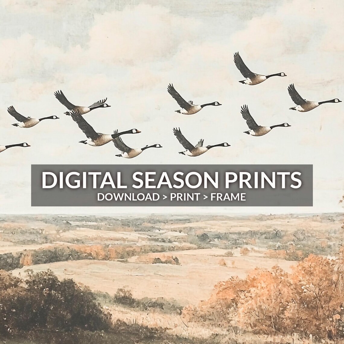 Canada Geese Flying Over Autumn Farmland Vintage Landscape Print - Image 6