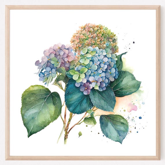 Blue Hydrangea Watercolor Art Print Farmhouse Floral Illustration