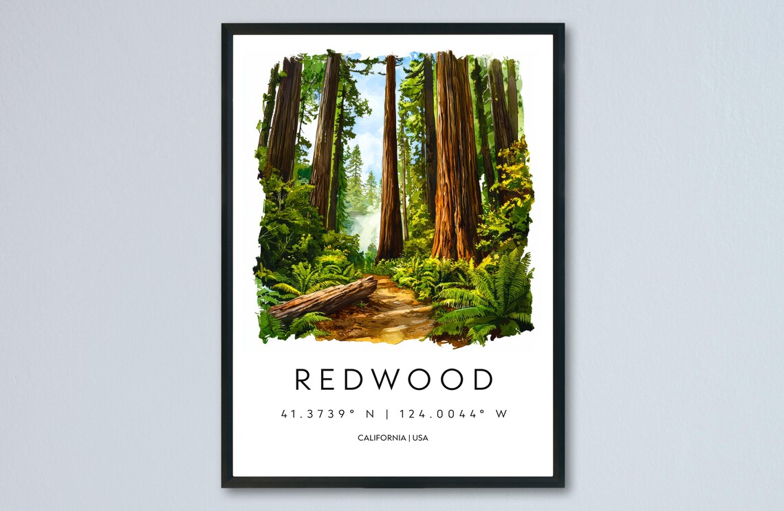 Redwood California Forest Trail Ferns Watercolor Travel Poster