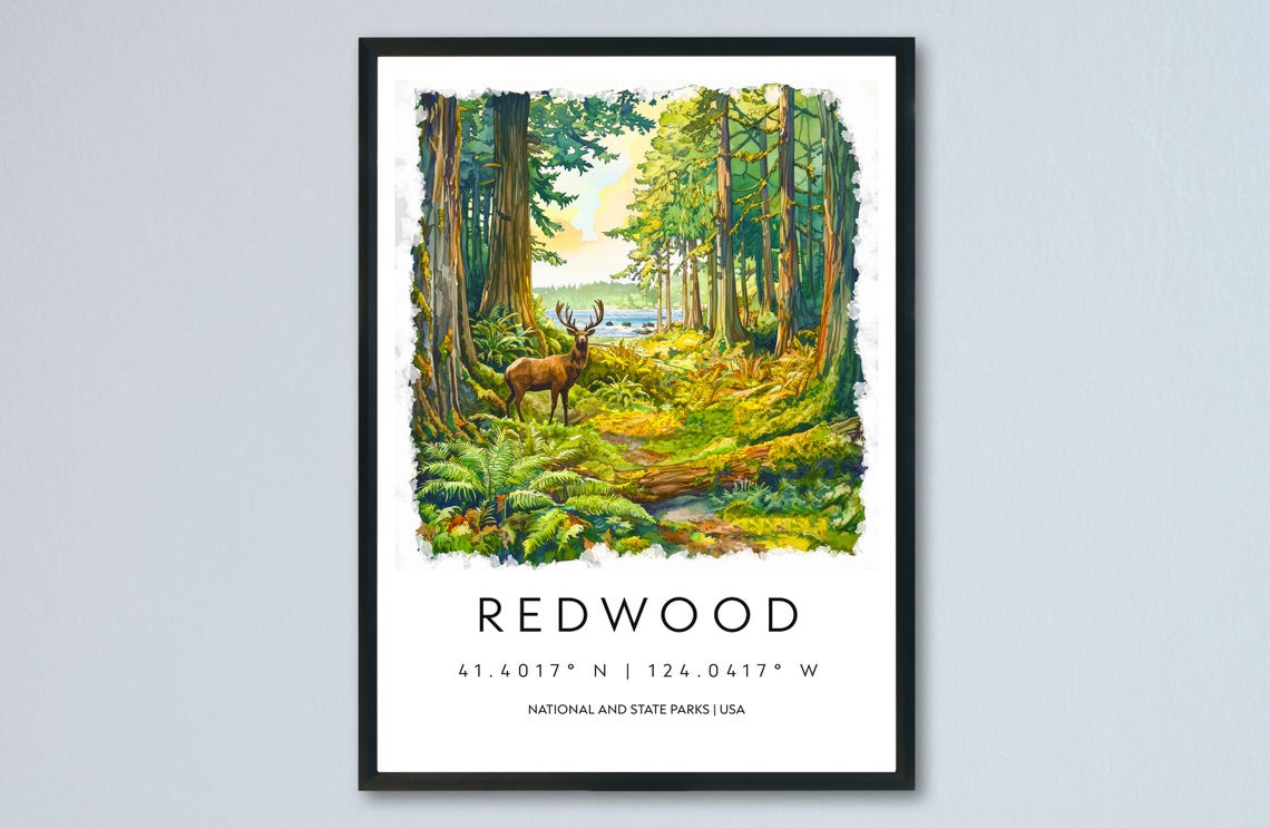 Redwood Forest Watercolor Poster With Roosevelt Elk in California