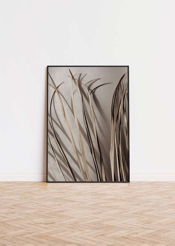 Dried Grass Leaves Soft Shadows Neutral Beige Minimalist Photo Poster