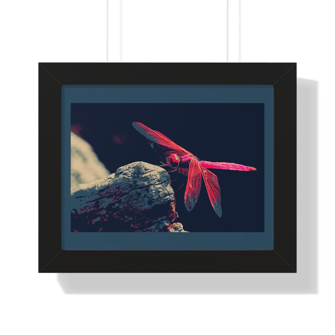Bold Vivid Red Scarlet Dragonfly Resting on a Rock Framed Poster - Image 3