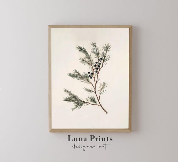 Juniper Stem Holiday Botanical Print, Christmas Decor