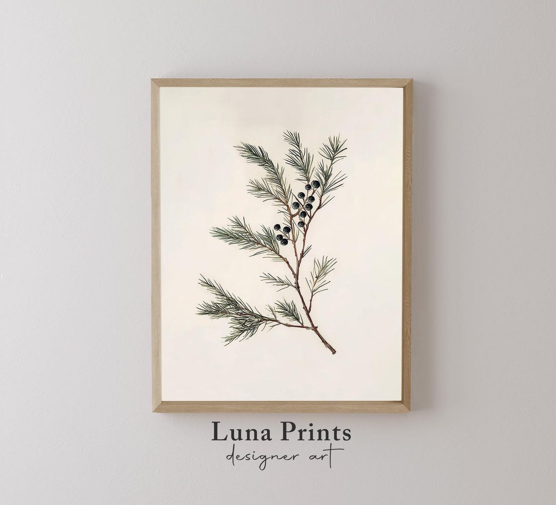 Juniper Stem Holiday Botanical Print, Christmas Decor
