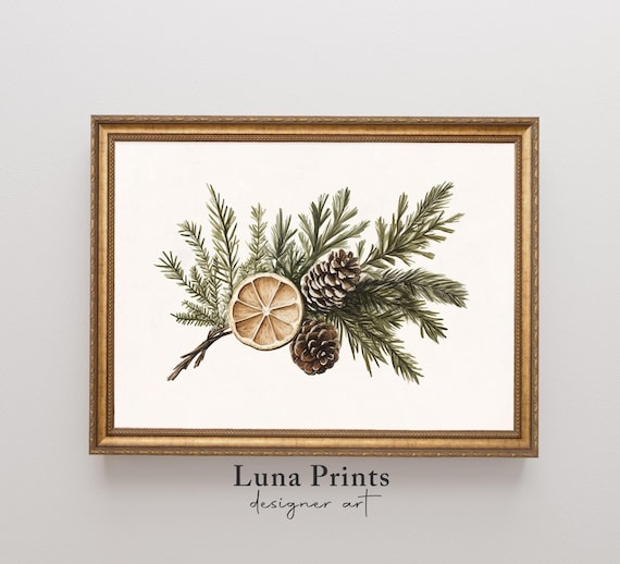 Pine Sprigs Pinecones and Dried Orange Slice Botanical Wall Art
