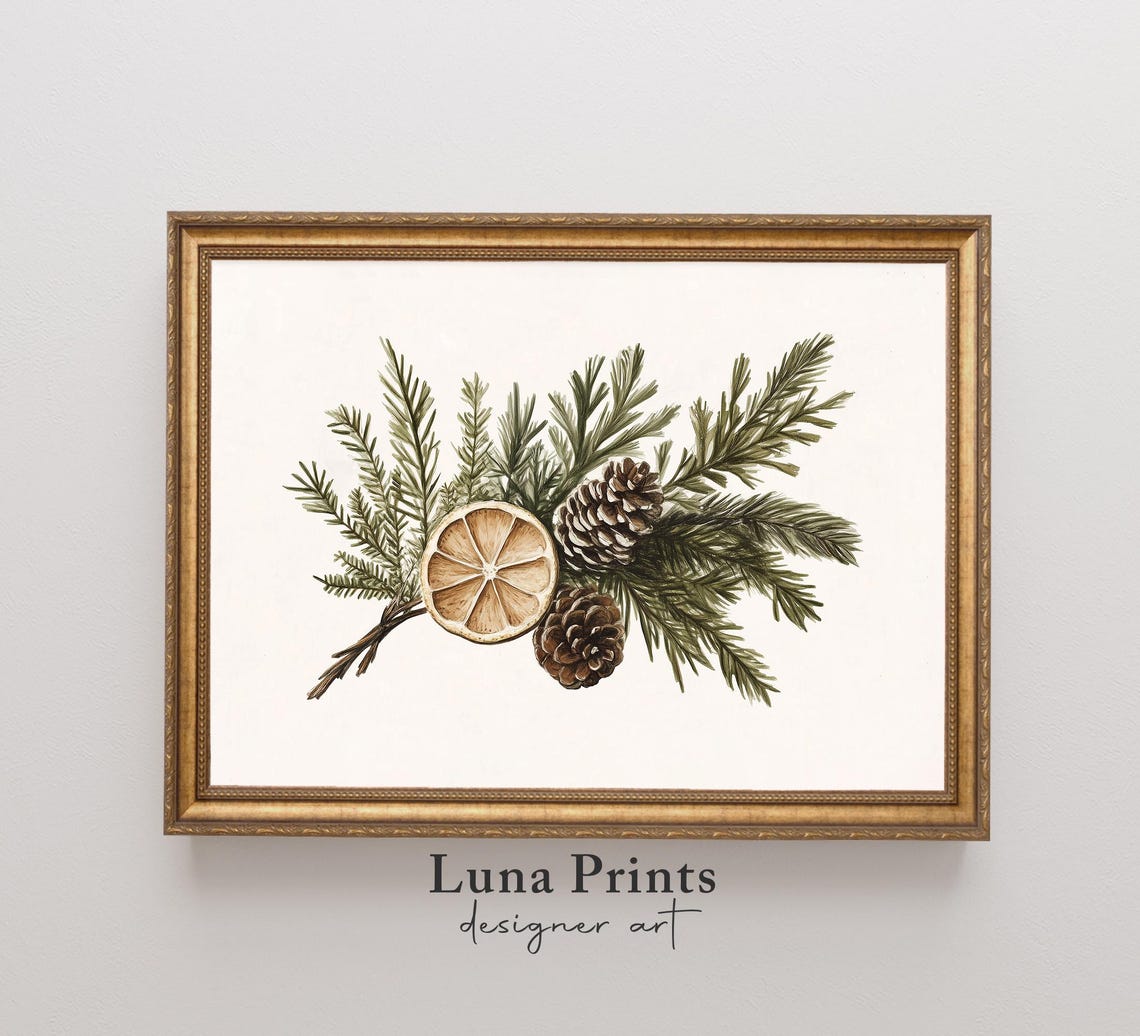Pine Sprigs Pinecones and Dried Orange Slice Botanical Wall Art