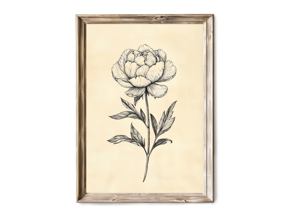 Elegant Vintage Peony Ink Line Drawing Botanical Flower Print