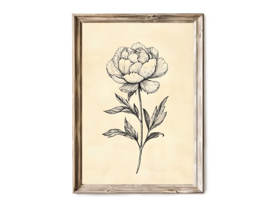 Elegant Vintage Peony Ink Line Drawing Botanical Flower Print