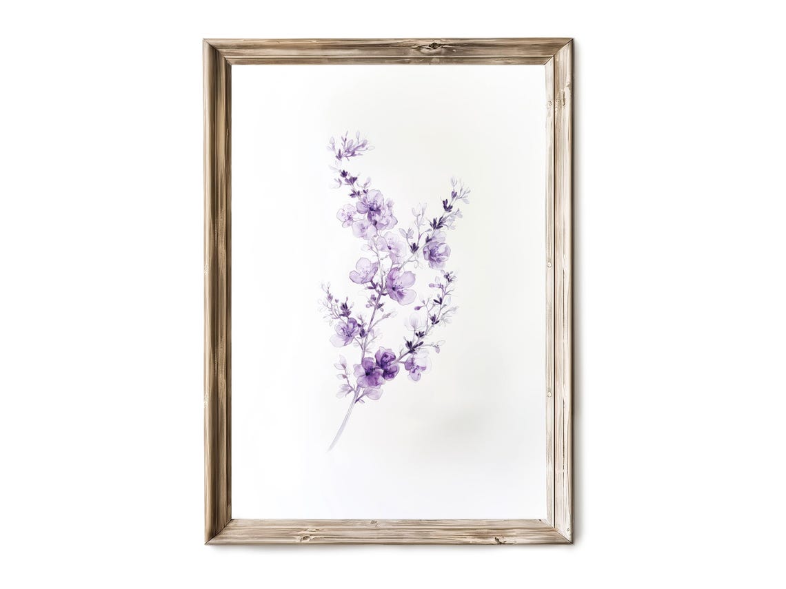 Lavender Botanical Art Vintage Line Drawing Cluster Of Purple Flowers Rustic Minimal Floral Decor 35