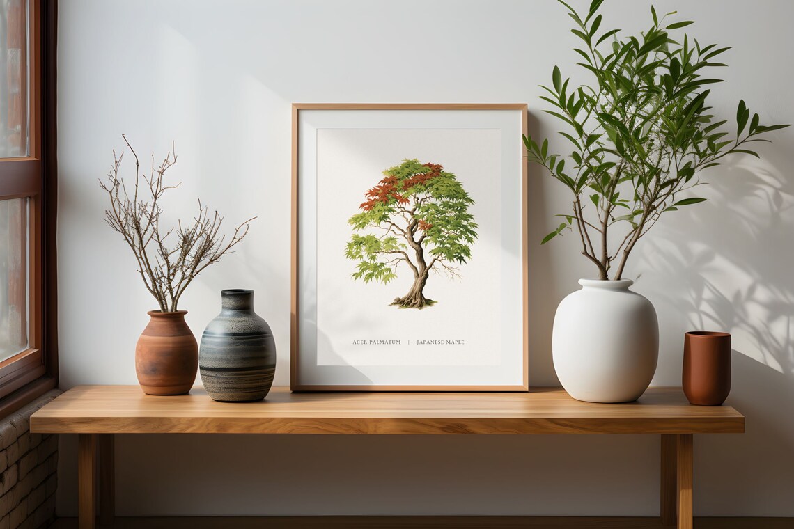 Japanese Maple Retro Botanical Print, Acer Palmatum